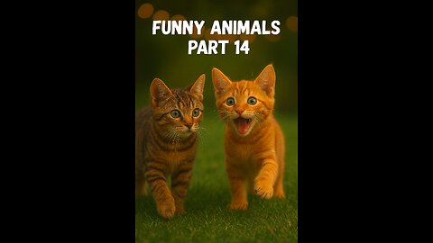 Funny animal videos 2026 - Funny cats/dogs - Funny animals - PART14