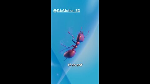 illusion