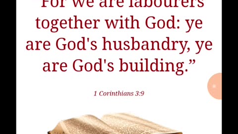 Th(e)y never chang(e)