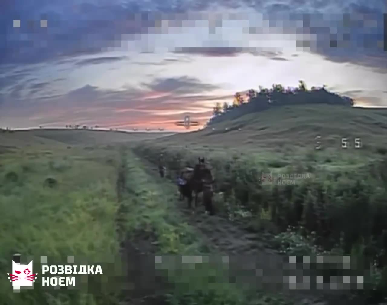 Russian cavalryman hides behind his horse, hoping Ukrainian FPV drone spares himโฆ