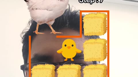 Chicken Home Game #chicken #chickengame #puzzle