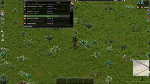 Project Zomboid błąd #2