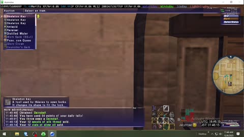 Playing Final Fantasy XI Online