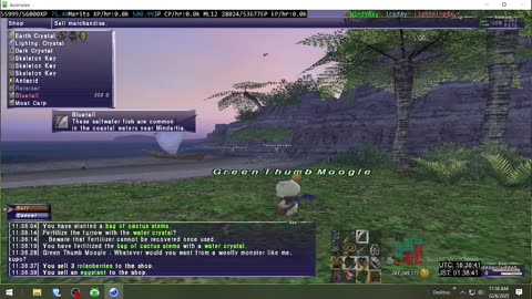 Playing Final Fantasy XI Online
