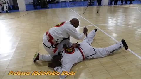 Sanuces Ryu Jiu Jitsu
