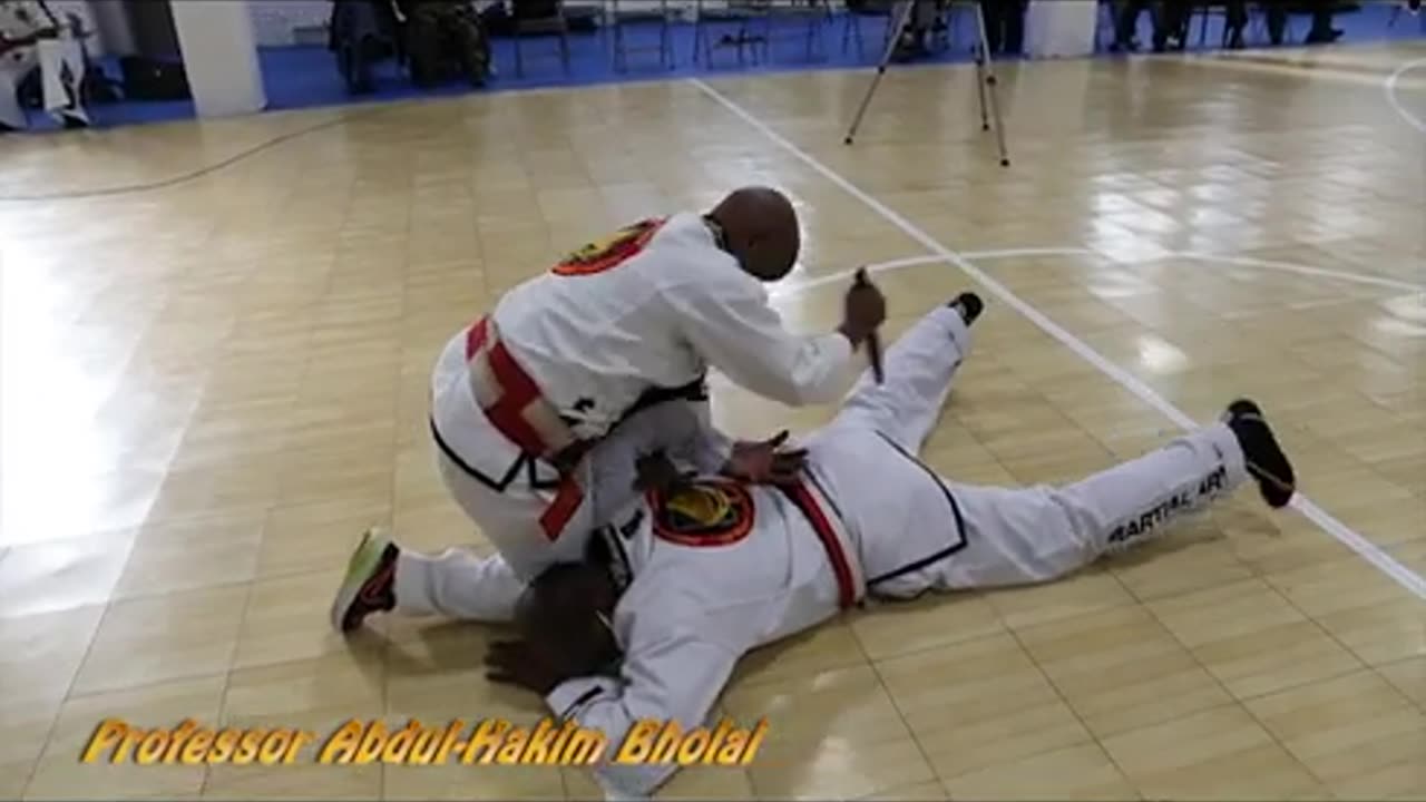 Sanuces Ryu Jiu Jitsu
