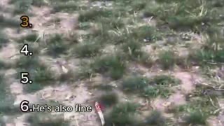 Golf Cart Crashes