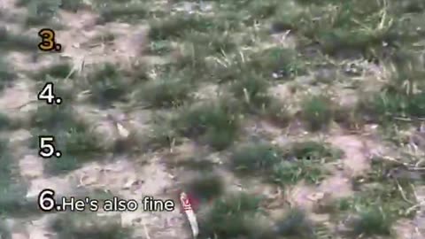 Golf Cart Crashes
