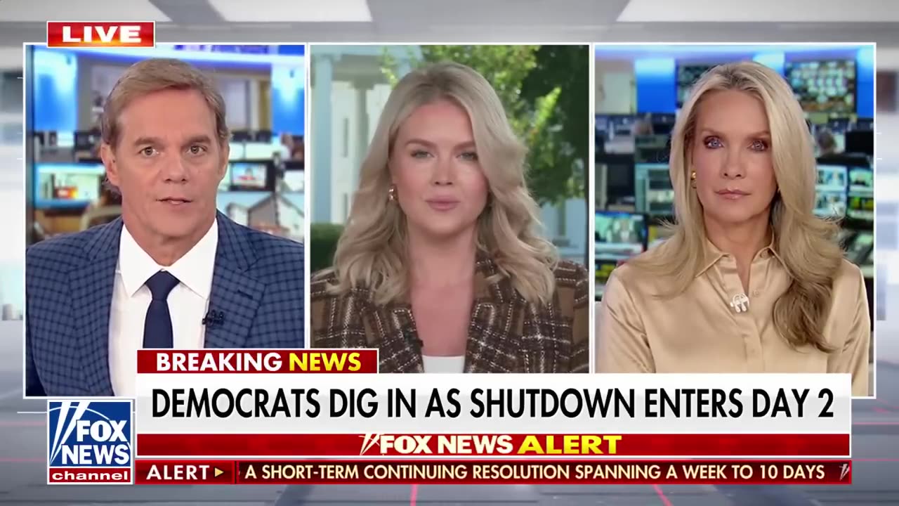 Karoline Leavitt torches Dems in FIERY response: HOLDING THIS COUNTRY HOSTAGE