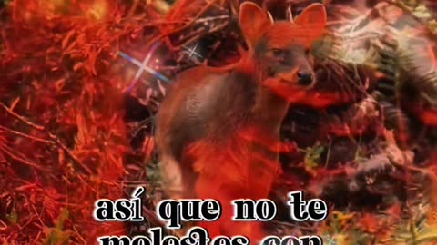 REFLEXIONES🫠😶‍🌫️😇
