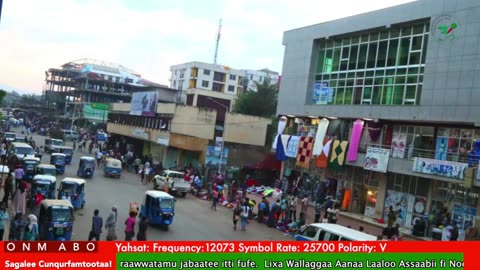 Oduu Waaree ONM-ABO Onkoloolessa 3-2025 itti dhiyaadhaa!