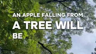 #romans 5 The purpose of the law is to usher in the reign of Christ #bible study with #jairus