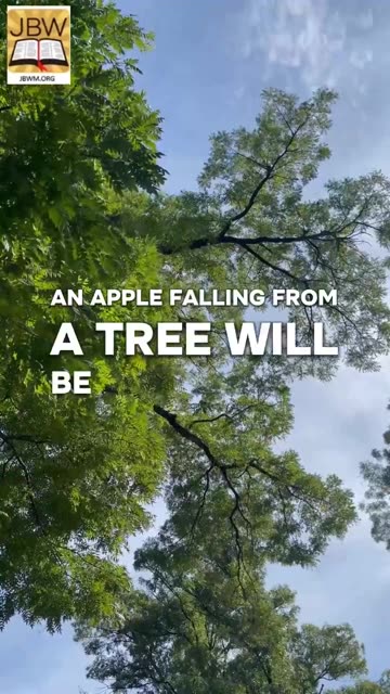 #romans 5 The purpose of the law is to usher in the reign of Christ #bible study with #jairus