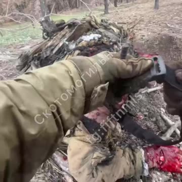 Pigs catch a hard hit from a FPV in the windshield