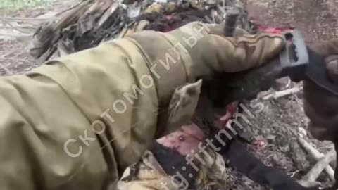 Pigs catch a hard hit from a FPV in the windshield