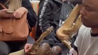 If you’re wondering how Mamdani got elected in New York, here’s the electorate.