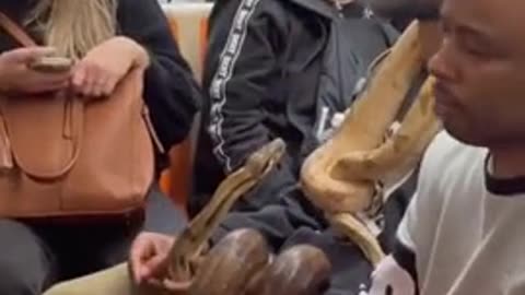 If you’re wondering how Mamdani got elected in New York, here’s the electorate.