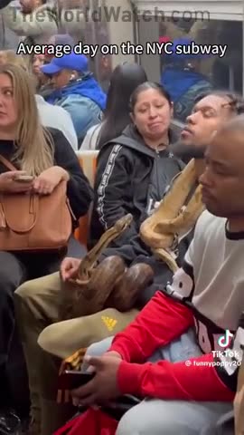 If you’re wondering how Mamdani got elected in New York, here’s the electorate.