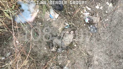 ukraine war combat footage 10/17/25