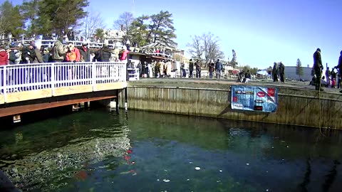 34th Annual Polar Dip 2024