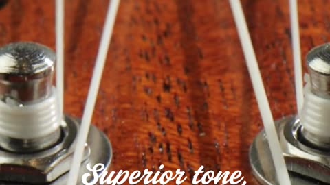 Bone Guitar Nut Superior tone, stability & craftsmanship