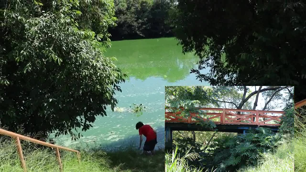 IGARAÇÚ DO TIETÊ - IGARAÇÚ PARK
