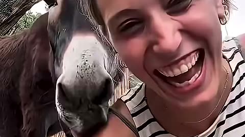 Cats And Other Funny Animals