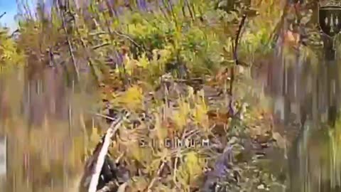 Incredible Drone Strikes Music Video(Bad to the Bone)