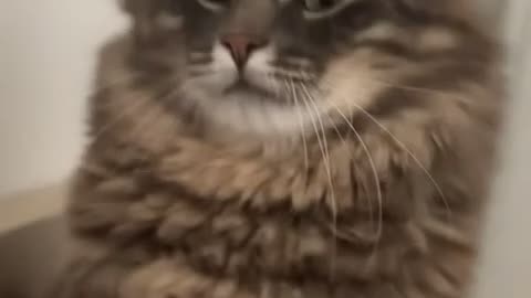 😂🤣 The Epic Moment Bro Realizes He's Not The Main Character Anymore! | FunFM