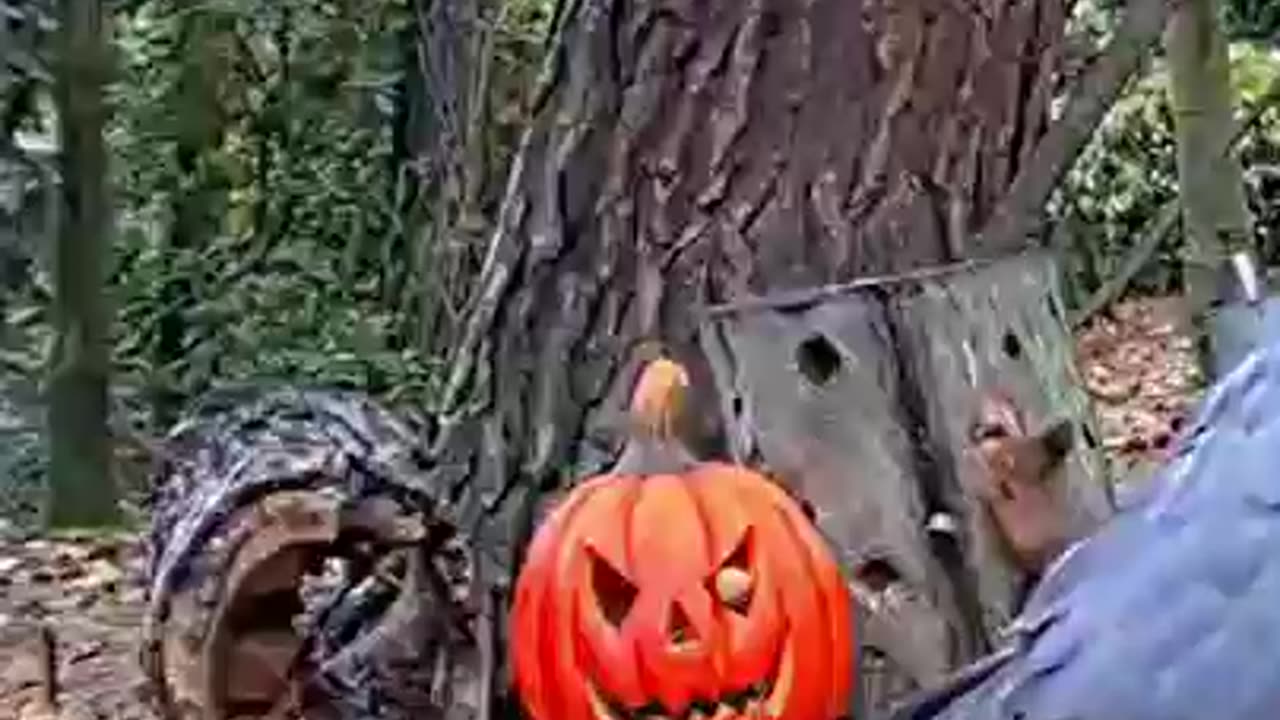 The squirrel is also celebrating Halloween 🎃🐿😆😂