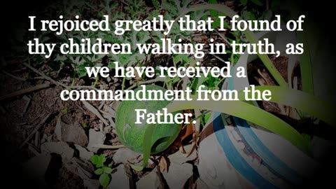 Weekly Words of Wisdom for October 8 -15