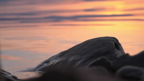 "Go confidently in the direction of your dreams! Live the life you've imagined."