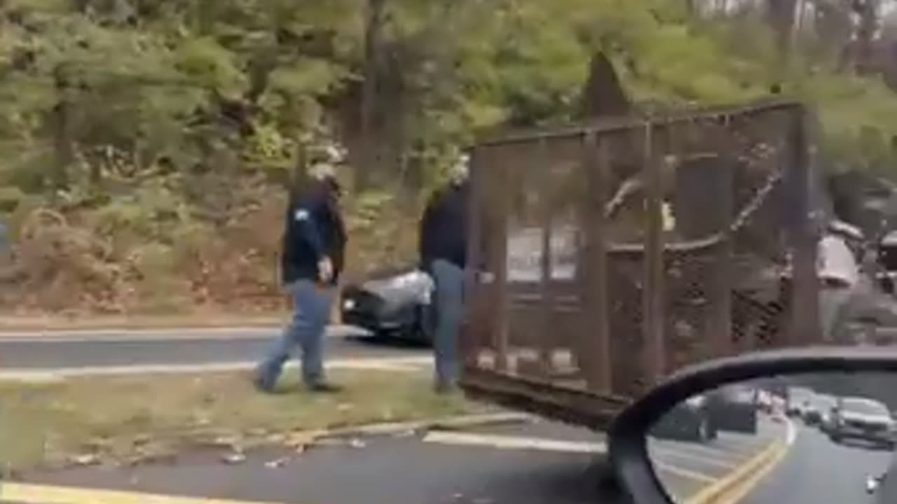 A large number of vehicles can be seen waiting to be towed after ICE arrest illegals