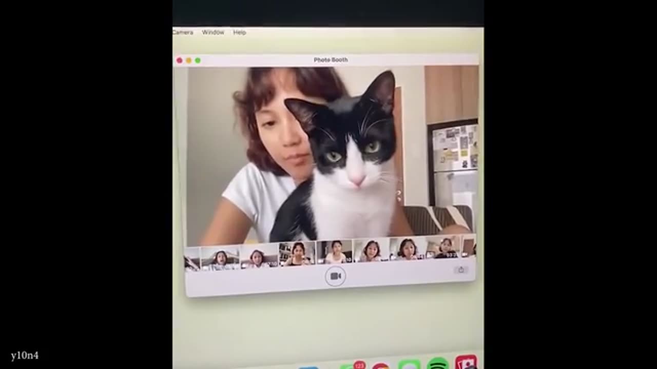These Cats are too Fanny!🤣|New Cat Videos 2025