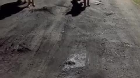 Ranking top 😂😂