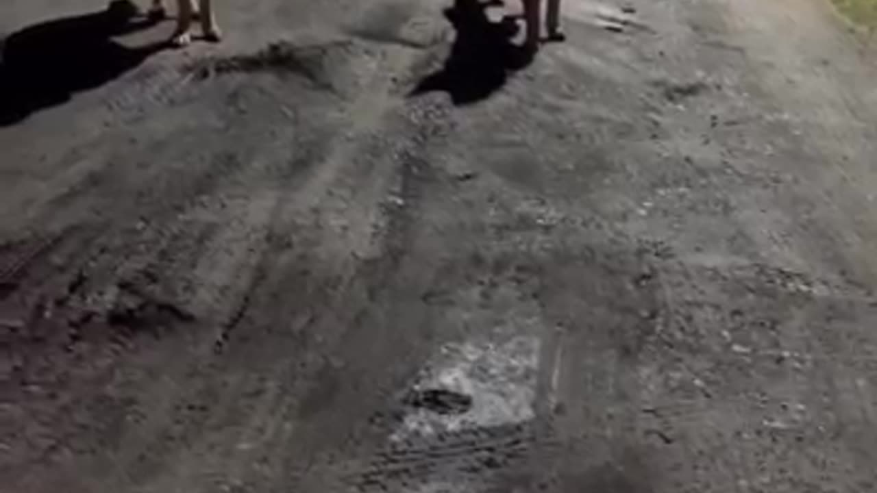 Ranking top 😂😂