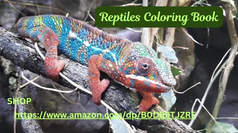 Reptile Kingdom Coloring Book: Explore the World of Reptiles