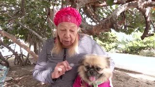 Cuba hits freezing point for the first time on record