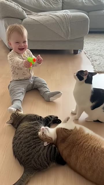 Baby Playing With Cat 😺 🔫👶🏻😂