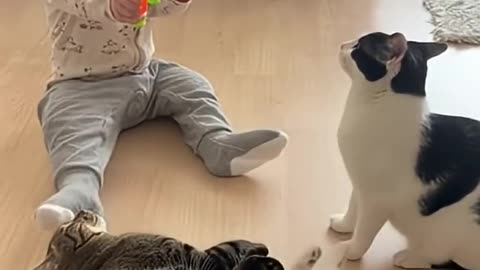 Baby Playing With Cat 😺 🔫👶🏻😂