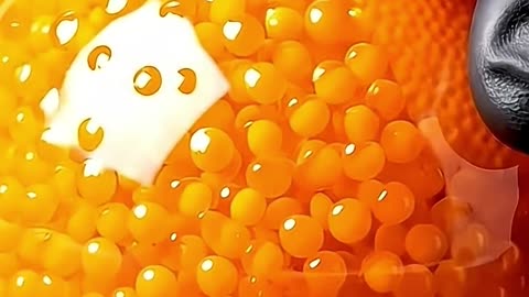 Cutting Glass Fruits ASMR