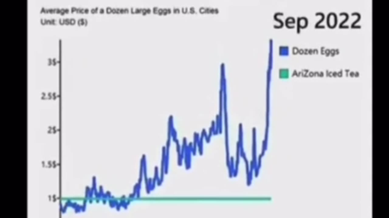 EggGate 2025: America gets eggsactly what it deserved [bonus clip]