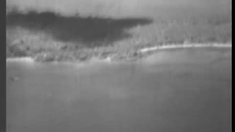 LANDING ON GREEN ISLAND - LANDING ON GREEN ISLAND - 428-npc-4733