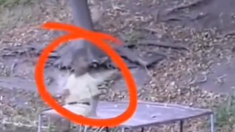 😨💥 Poltergeist Caught Throwing Objects in Room! | TheHauntingHour