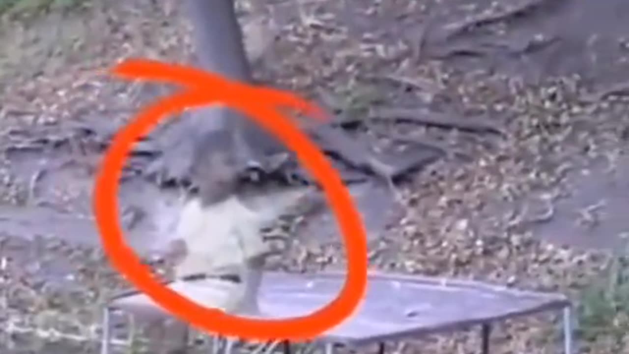 😨💥 Poltergeist Caught Throwing Objects in Room! | TheHauntingHour