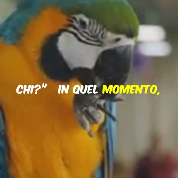 Il vice sovrintendente e il pappagallo dispettoso