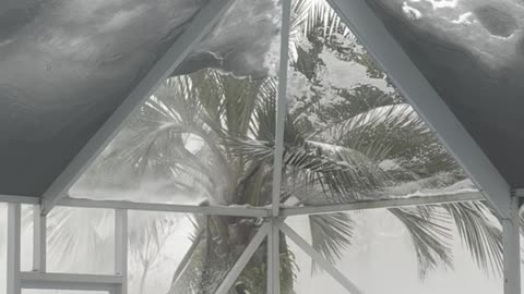 Florida Man Removes Snow From Pool Screen