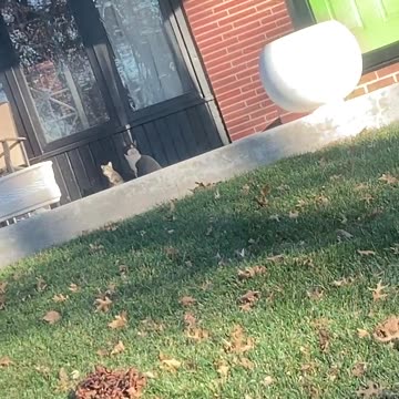 What kind of people does such ridiculous things?