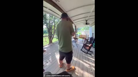 Daddy Goat 24/7 - Out Of Context Memes & Videos