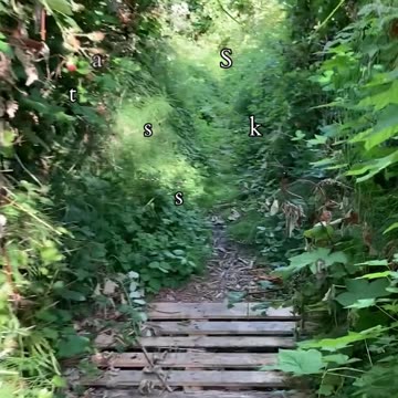 Beyond The Horizon | Path and Tarot Reading